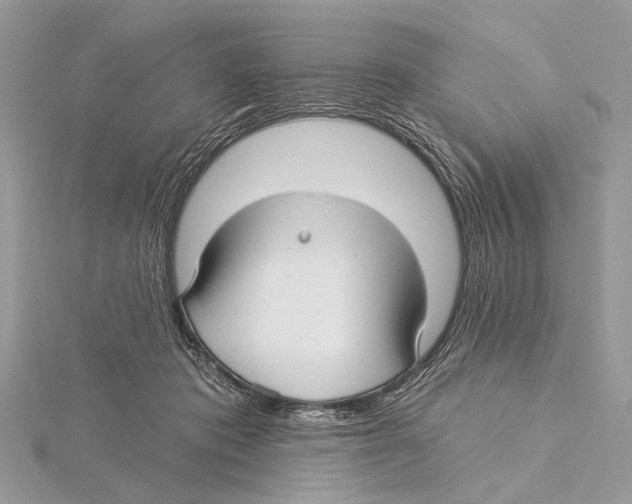 X0000115530413200912040954