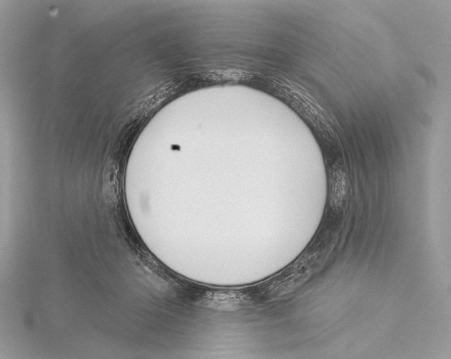 X0000115530414200912040954