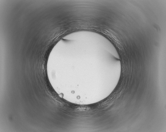 X0000115530415200912040954