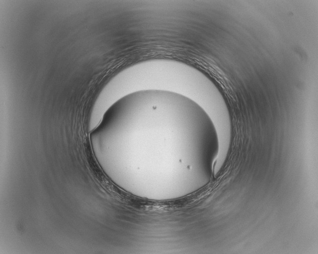 X0000115530419200912040954