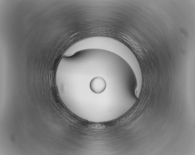 X0000115530421200912040954