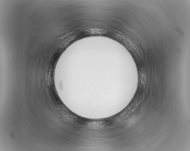 X0000115530422200912040954