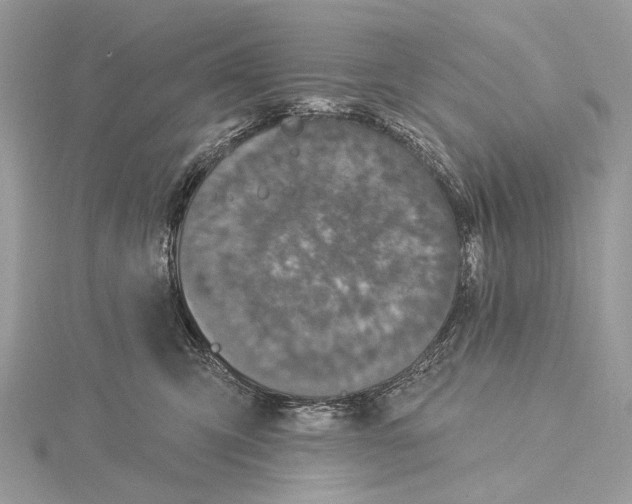 X0000115530423200912040954