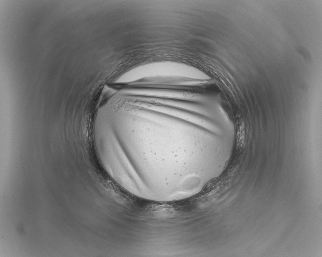 X0000115530424200912040954