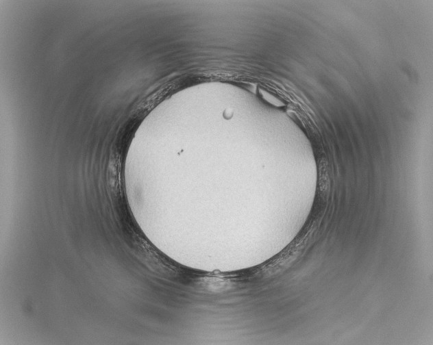 X0000115530425200912040954