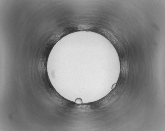 X0000115530426200912040954