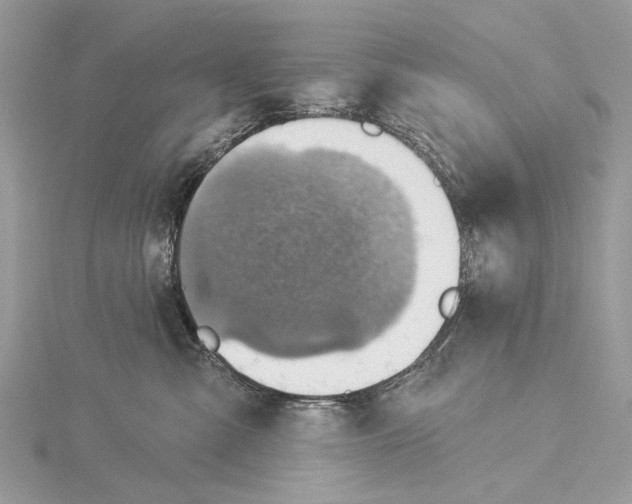 X0000115530427200912040954