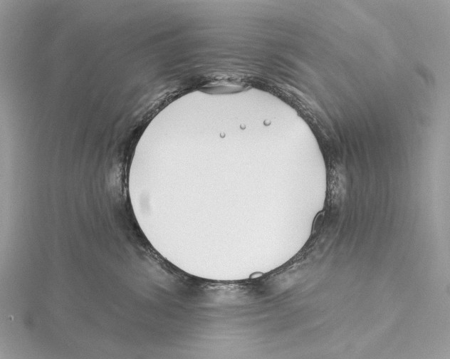 X0000115530428200912040954