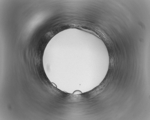 X0000115530429200912040954