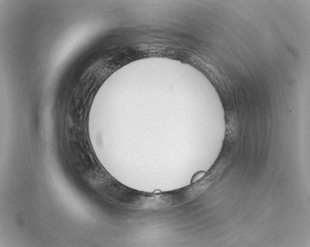 X0000115530430200912040954