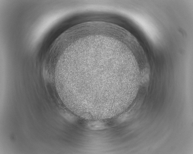 X0000115530431200912040954