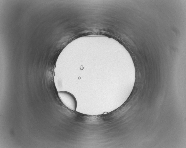 X0000115530432200912040954