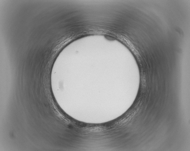 X0000115530433200912040953