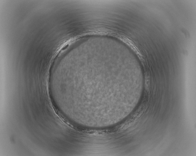 X0000115530434200912040953