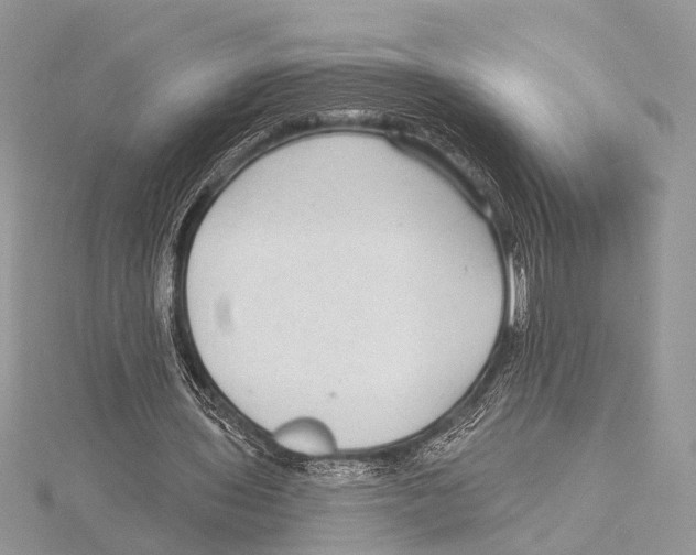 X0000115530435200912040953