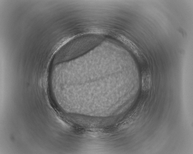 X0000115530436200912040953