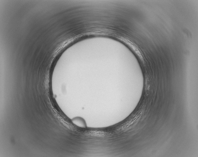 X0000115530437200912040953