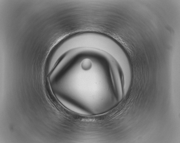 X0000115530440200912040953