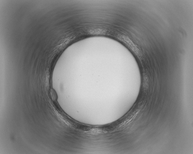 X0000115530441200912040953