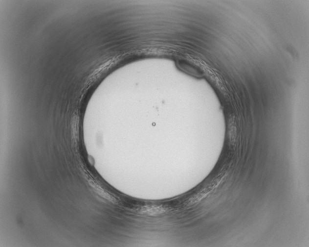 X0000115530445200912040953