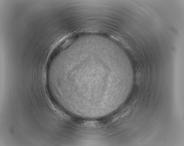 X0000115530446200912040953