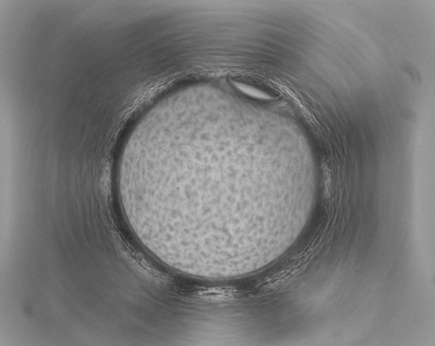 X0000115530447200912040953