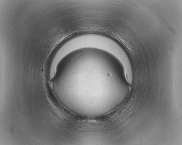 X0000115530448200912040953