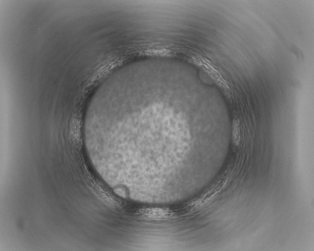 X0000115530449200912040953