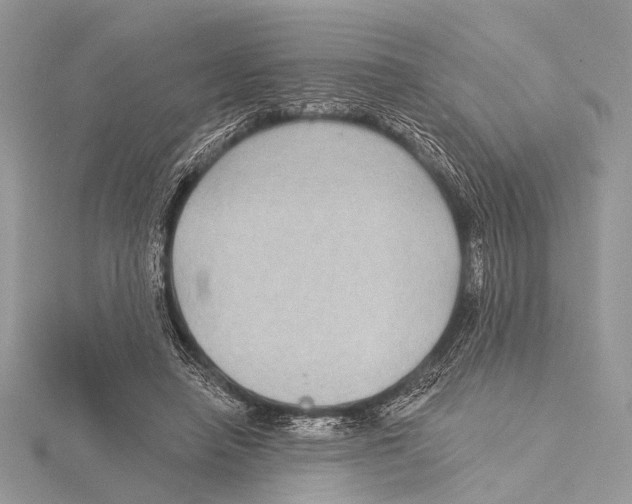 X0000115530450200912040953