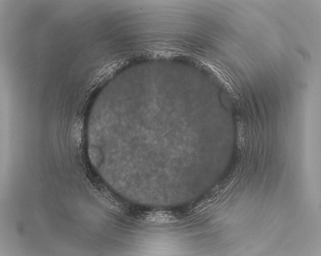 X0000115530451200912040953