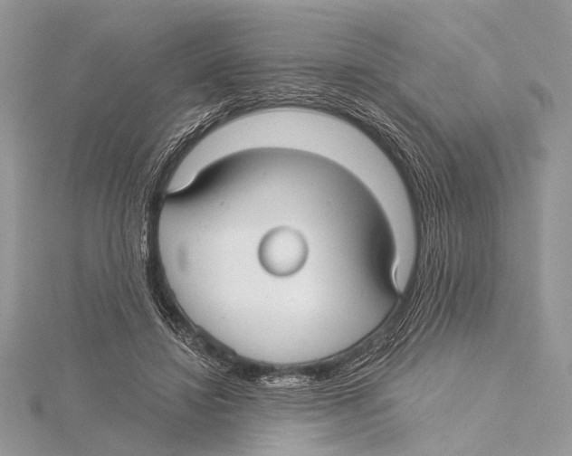 X0000115530452200912040953