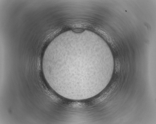 X0000115530453200912040953