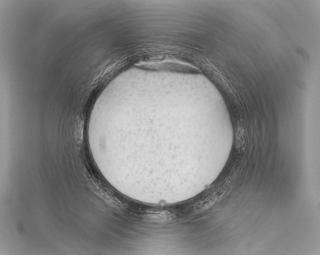 X0000115530454200912040953