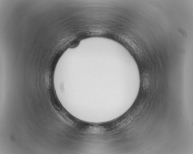 X0000115530455200912040953