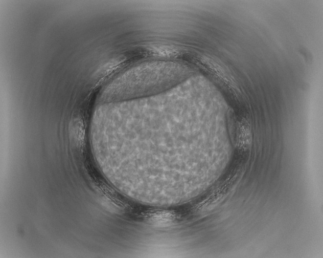 X0000115530456200912040953