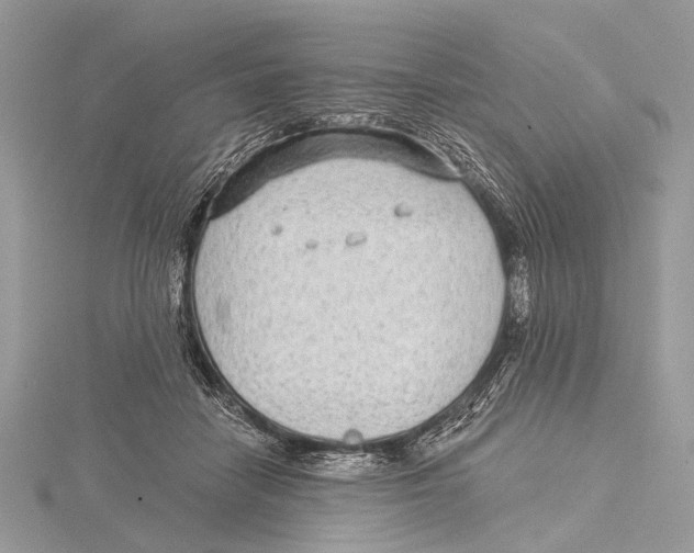 X0000115530458200912040953