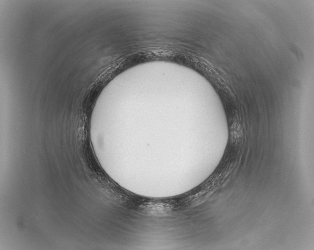 X0000115530464200912040953