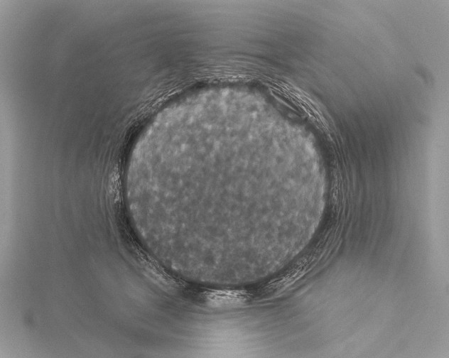 X0000115530465200912040953