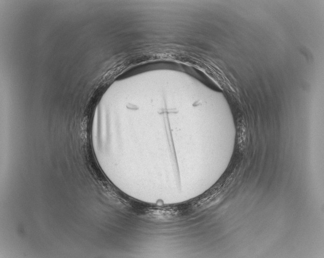 X0000115530466200912040953