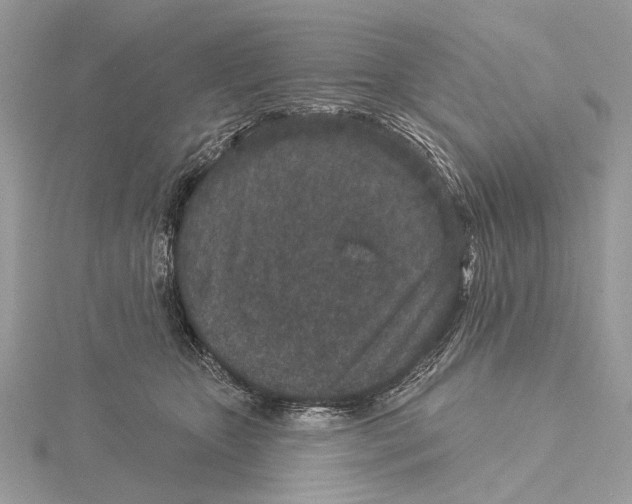 X0000115530467200912040953