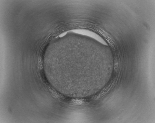 X0000115530469200912040953