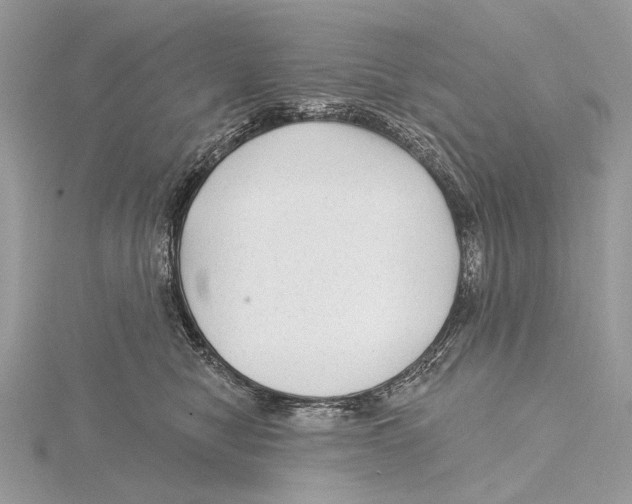 X0000115530470200912040954