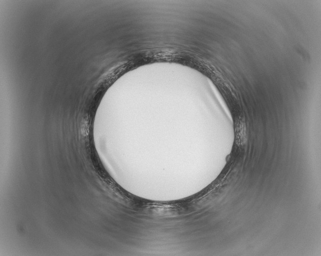 X0000115530472200912040954