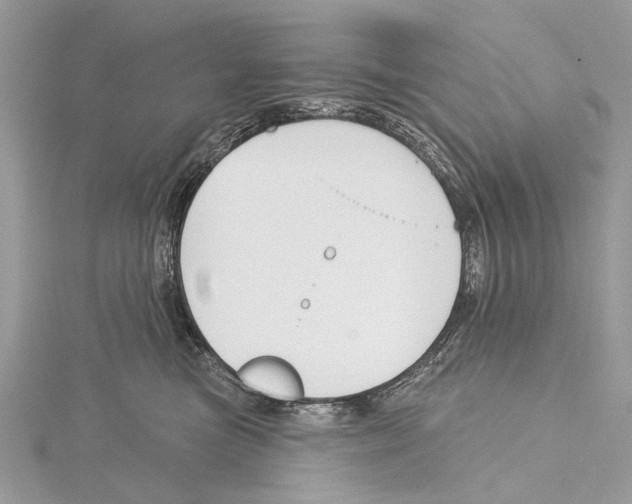 X0000115530473200912040954