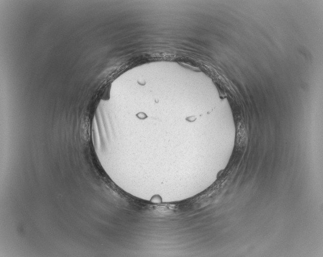 X0000115530474200912040954