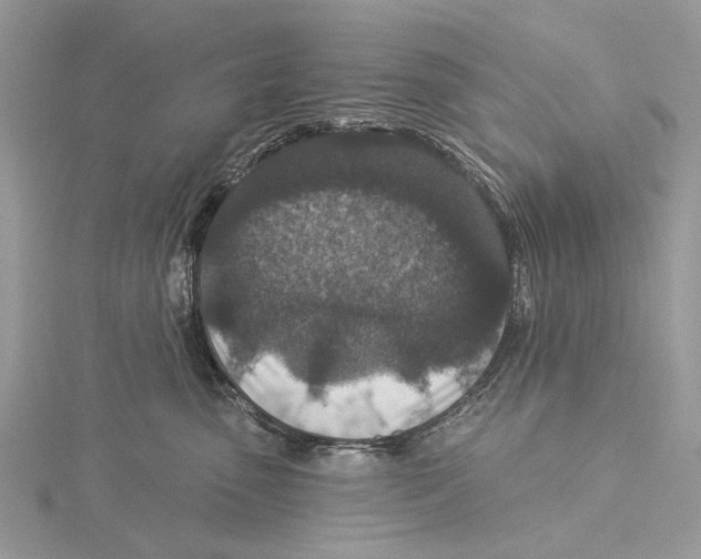 X0000115530475200912040954