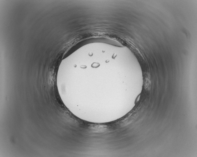 X0000115530476200912040954