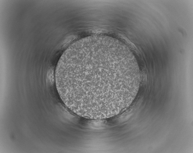 X0000115530479200912040954