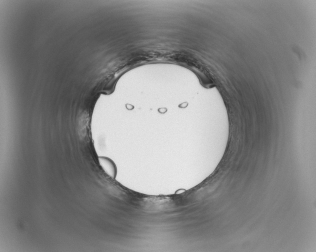 X0000115530480200912040954