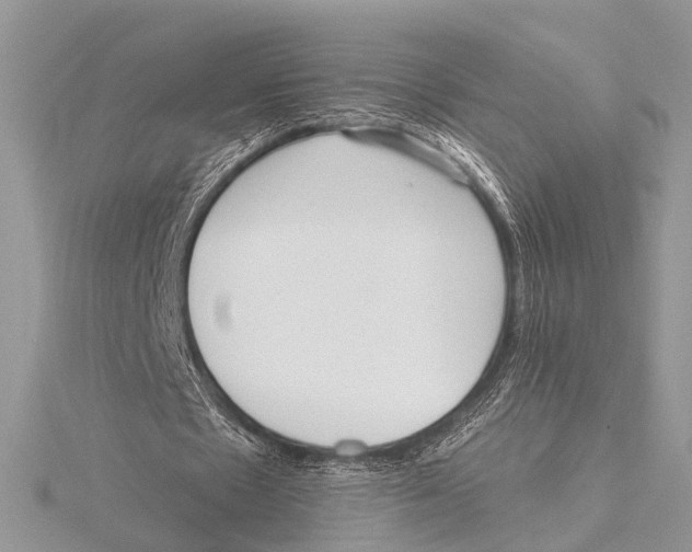 X0000115530481200912040953